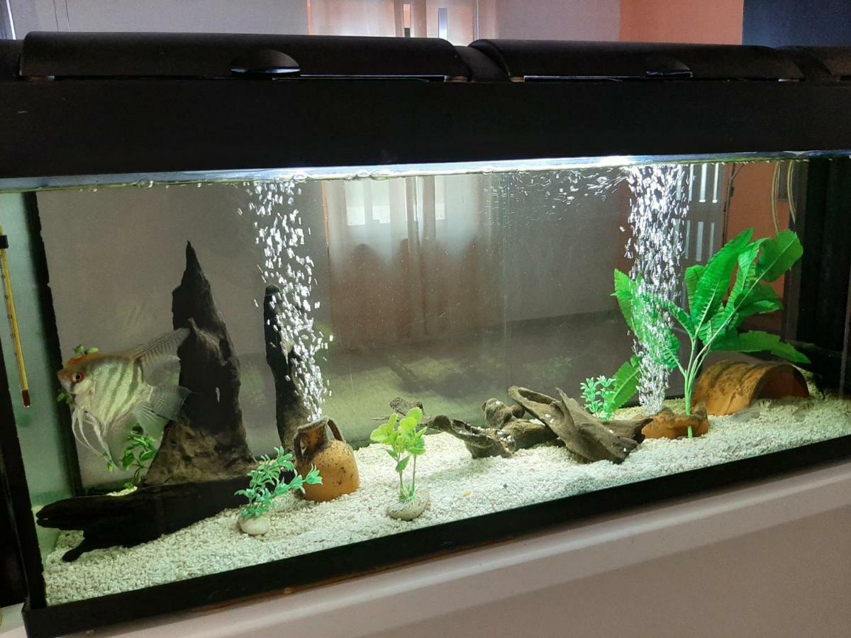 Il Casale Di Zi'Leo Panzió Campomarino Kültér fotó